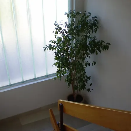 Jurasovic Apartman